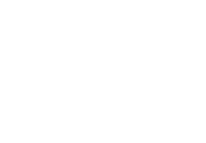 project logo image
