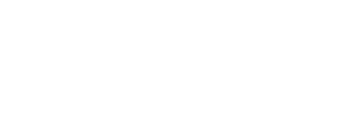project logo image